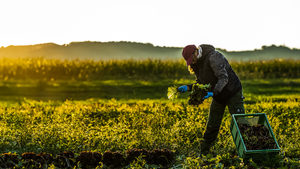 Platz 4 Conny Kleiner